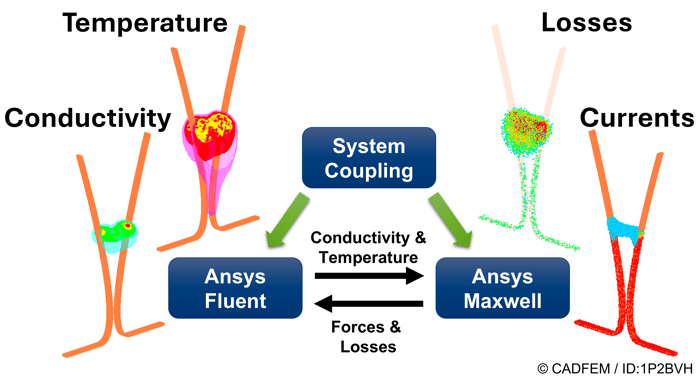 Multiphysically coupled simulation between electromagnetics (Ansys Maxwell) and fluid flow (Ansys Fluent) using a control tool (Ansys System Coupling) | © CADFEM / ID: 1P2BVH